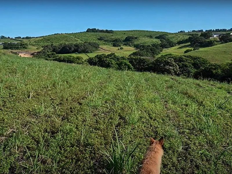 Farm For Sale in Fairview Estates - Photo 4