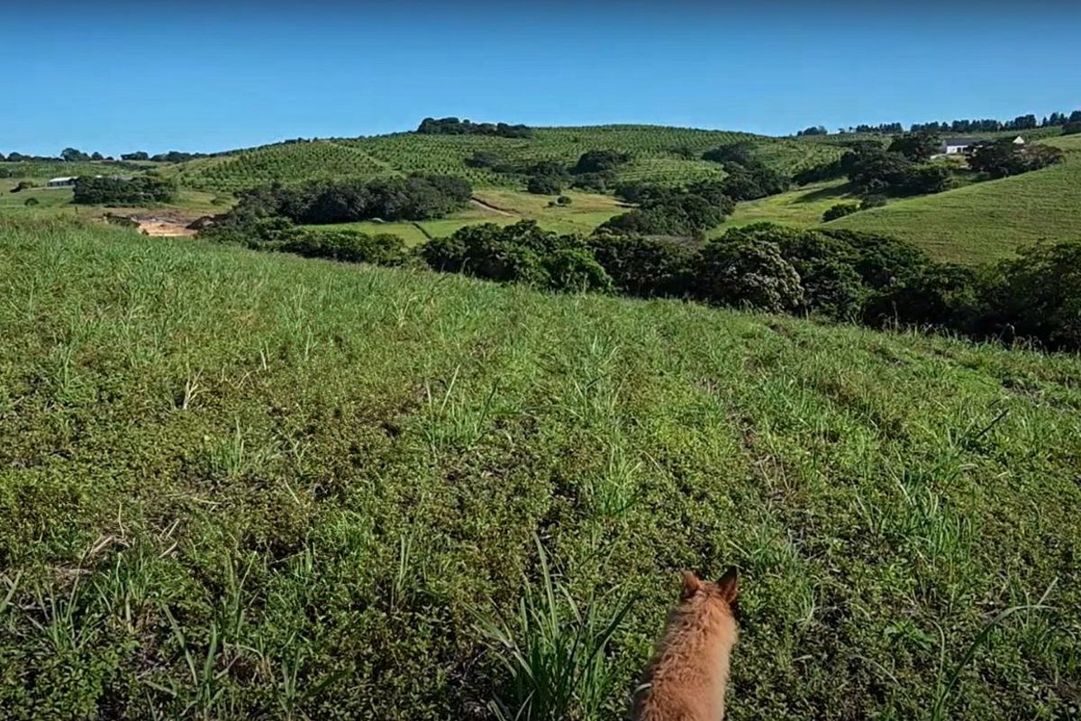 Farm For Sale in Fairview Estates - Photo 4