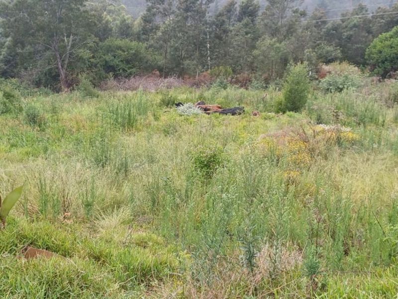 Vacant Land Residential For Sale in Friemersheim - Photo 2