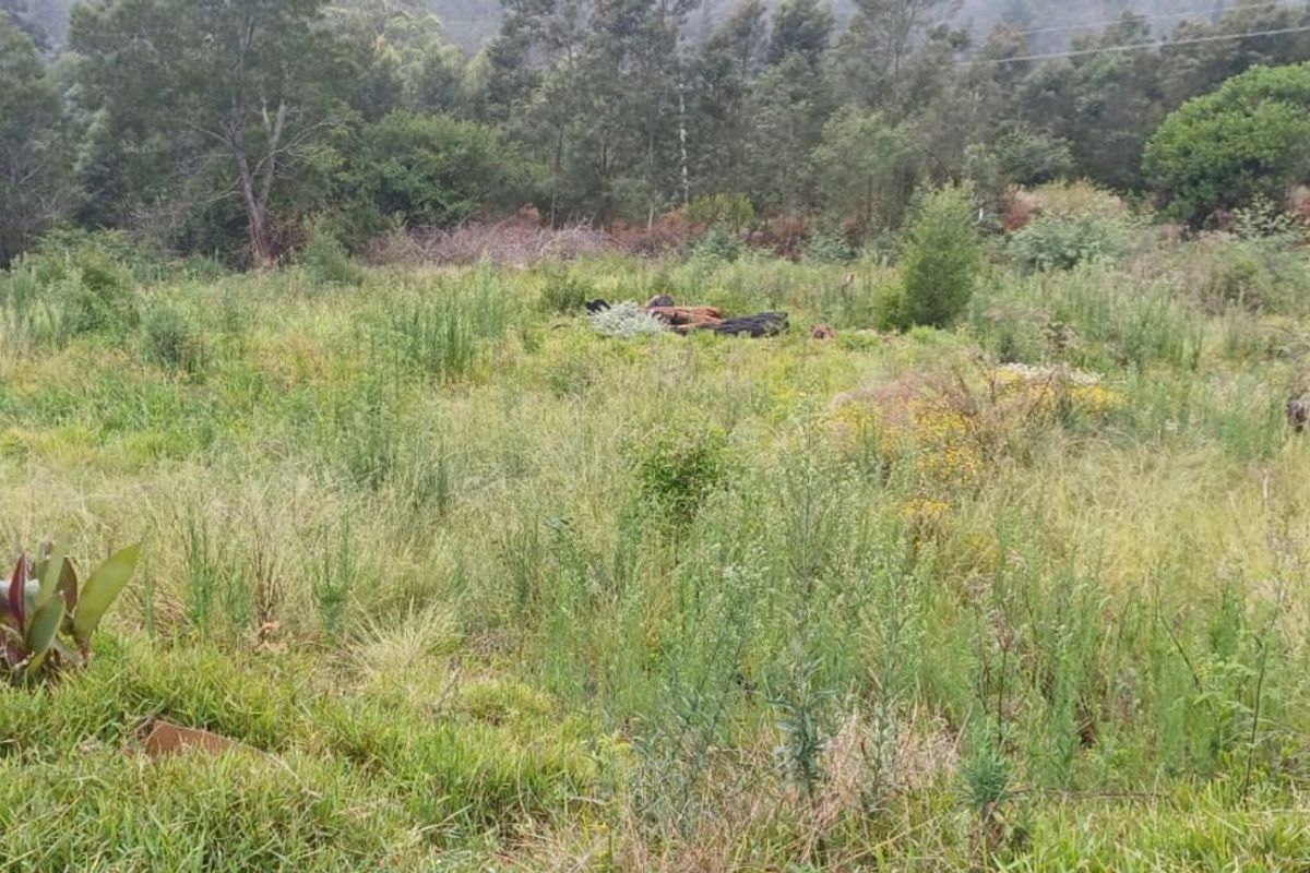 Vacant Land Residential For Sale in Friemersheim - Photo 2