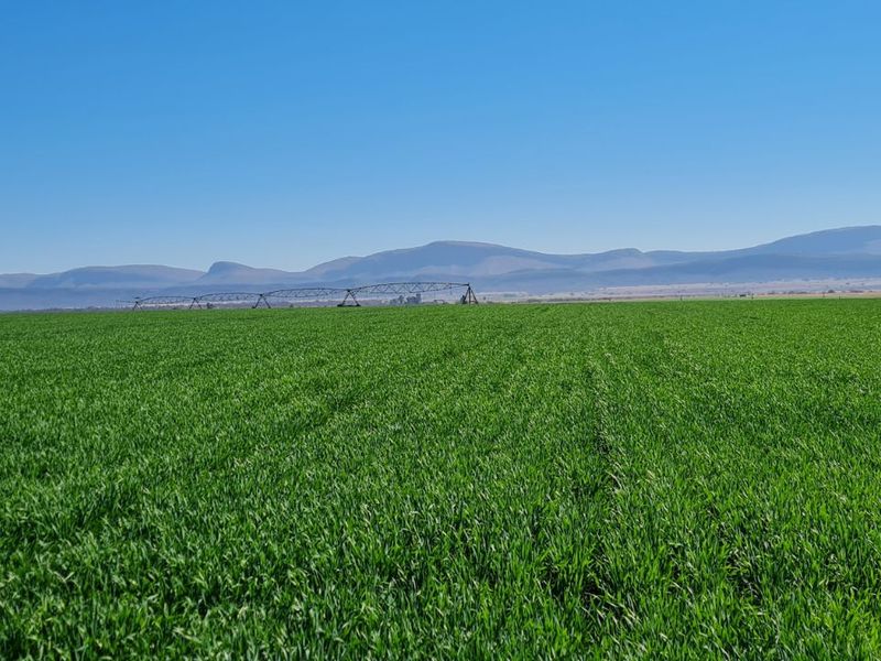 Farm For Sale in Modimolle Rural - Photo 3