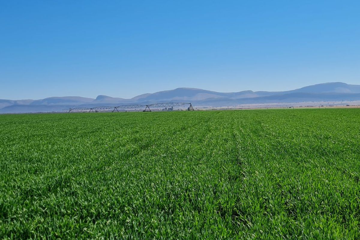 Farm For Sale in Modimolle Rural - Photo 3