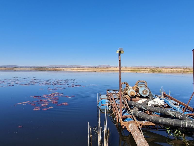 Farm For Sale in Modimolle Rural - Photo 5