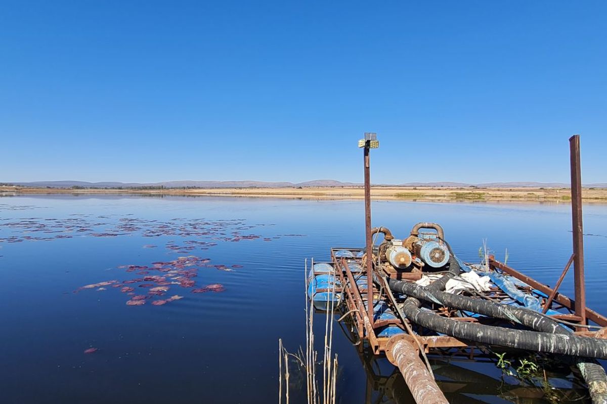 Farm For Sale in Modimolle Rural - Photo 5