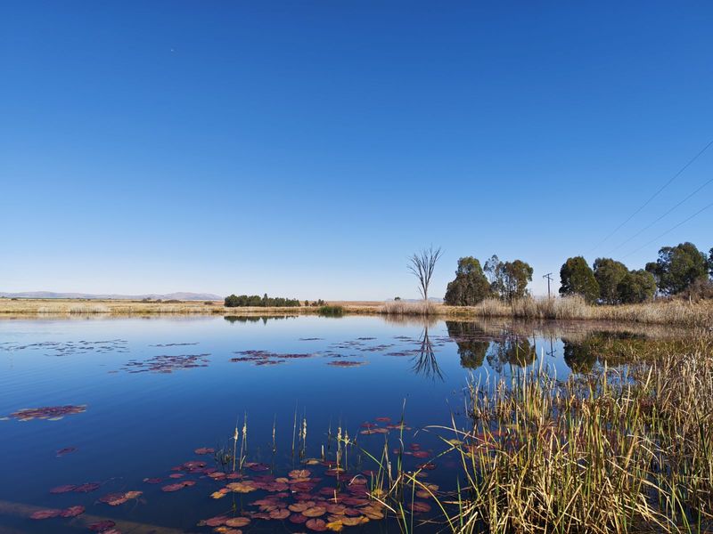 Farm For Sale in Modimolle Rural - Photo 4