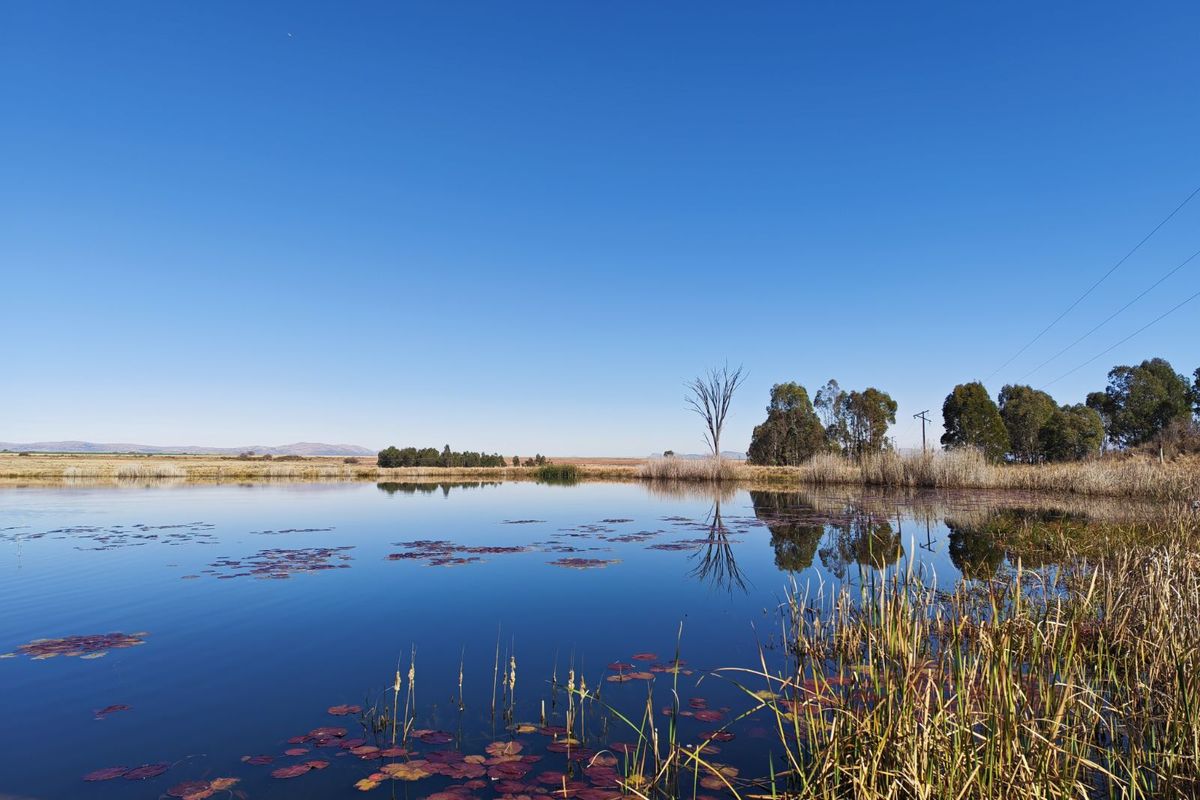 Farm For Sale in Modimolle Rural - Photo 4