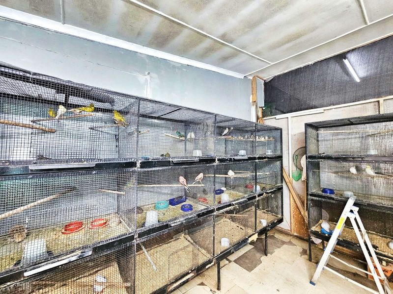 Retail For Sale in Dormehls Drift - Photo 7