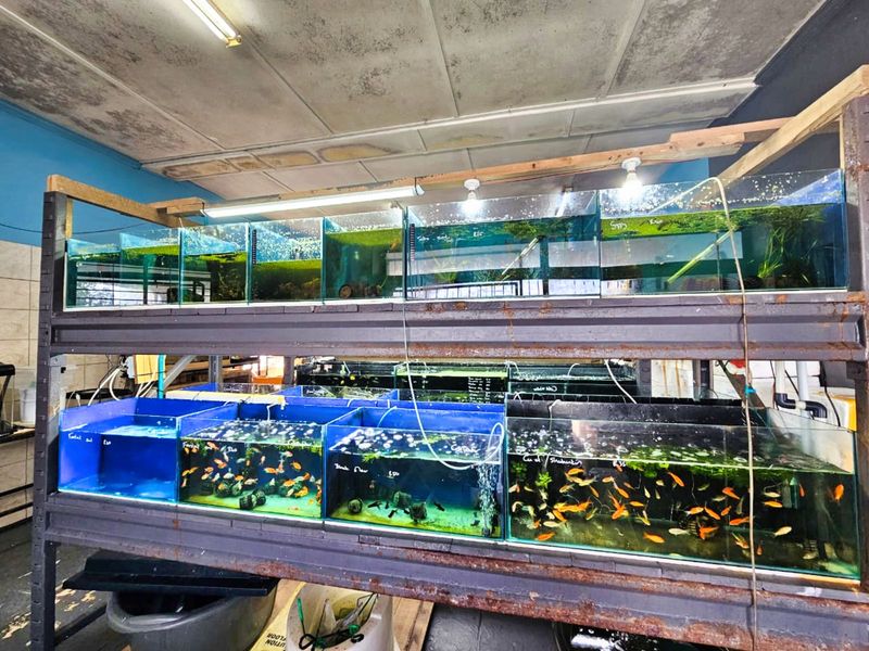 Retail For Sale in Dormehls Drift - Photo 6