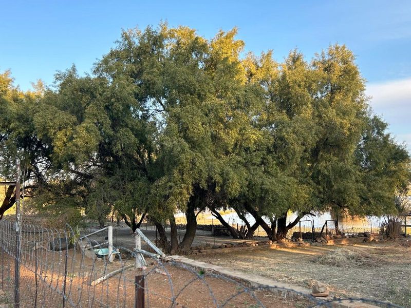 House For Sale in Barkly West Central - Photo 7