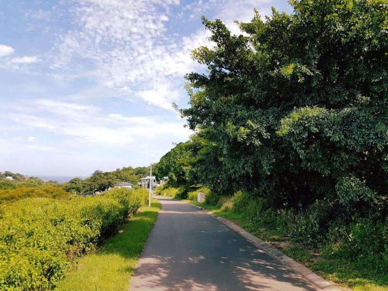 Vacant Land Residential For Sale in New Salt Rock City - Photo 4