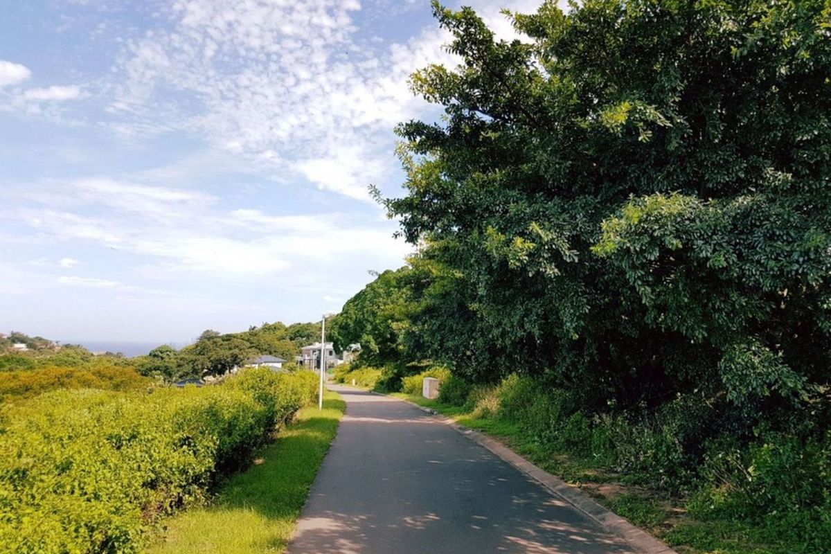 Vacant Land Residential For Sale in New Salt Rock City - Photo 4