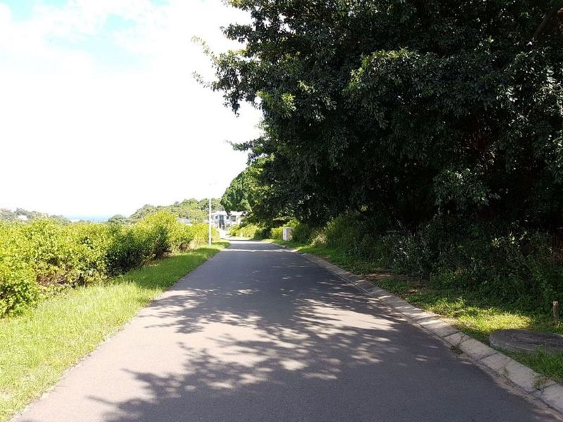 Vacant Land Residential For Sale in New Salt Rock City - Photo 2