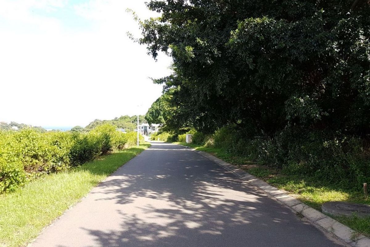 Vacant Land Residential For Sale in New Salt Rock City - Photo 2