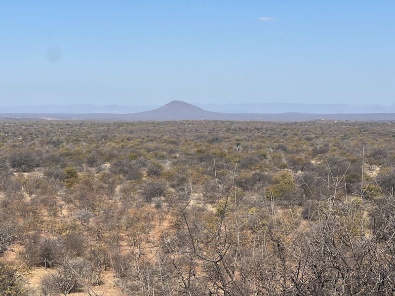 Farm For Sale in Mopane - Photo 10