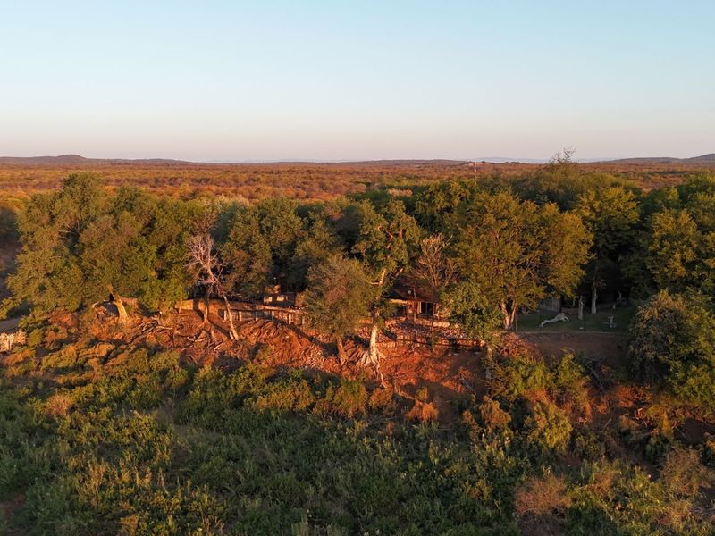Farm For Sale in Mopane - Photo 9