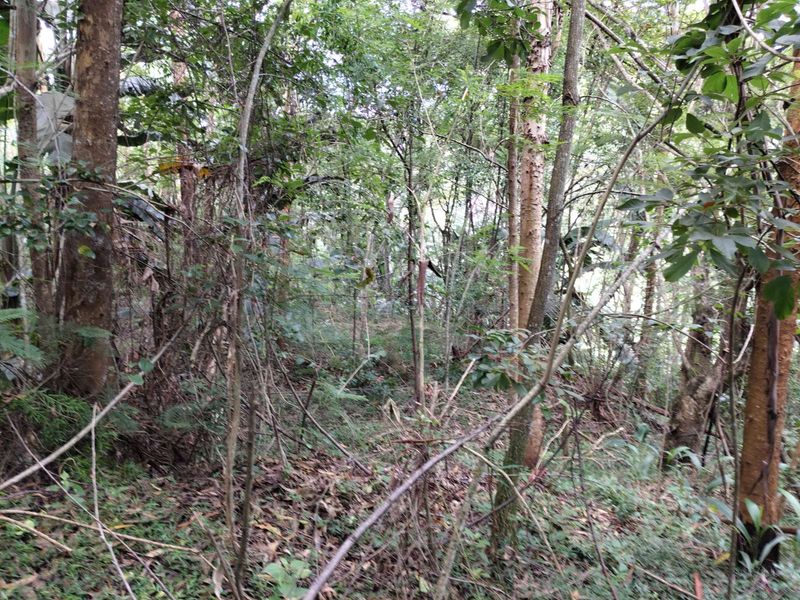 Vacant Land Residential For Sale in Waterfall - Photo 2