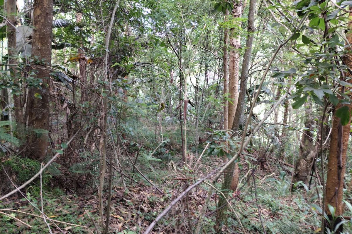 Vacant Land Residential For Sale in Waterfall - Photo 2