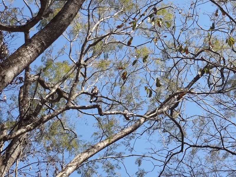 Vacant Land Residential For Sale in Waterfall - Photo 3