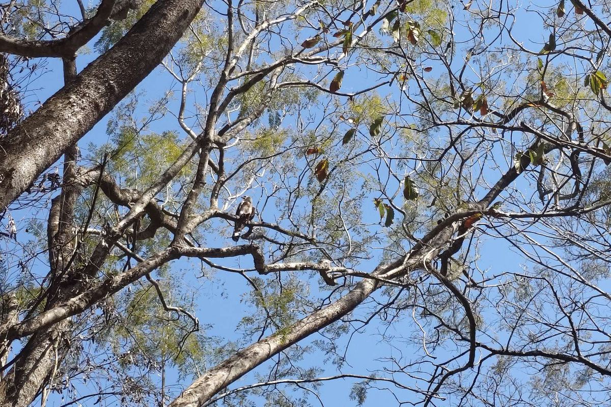 Vacant Land Residential For Sale in Waterfall - Photo 3