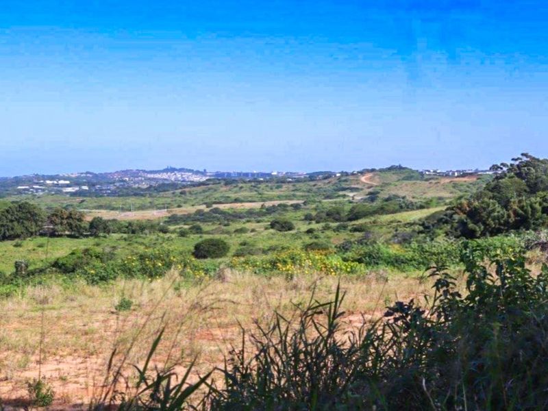 Vacant Land Residential For Sale in New Salt Rock City - Photo 7