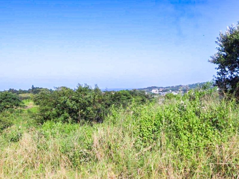 Vacant Land Residential For Sale in New Salt Rock City - Photo 6