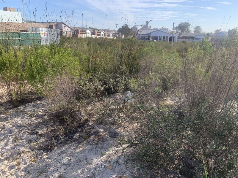 Vacant Land Residential For Sale in Albertinia Central - Photo 4