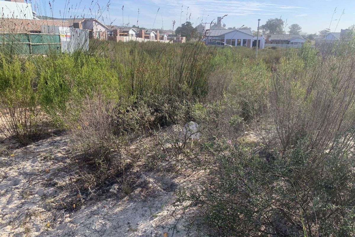 Vacant Land Residential For Sale in Albertinia Central - Photo 4