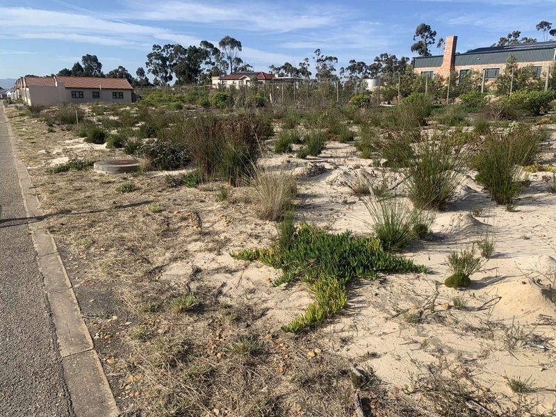 Vacant Land Residential For Sale in Albertinia Central - Photo 5