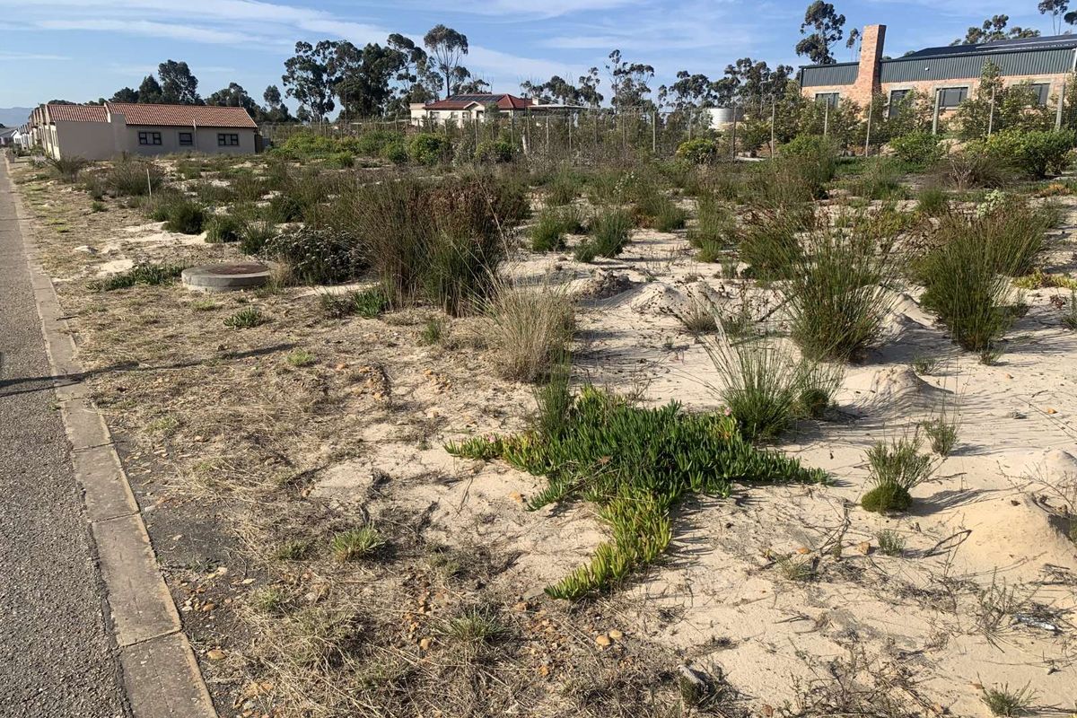 Vacant Land Residential For Sale in Albertinia Central - Photo 5