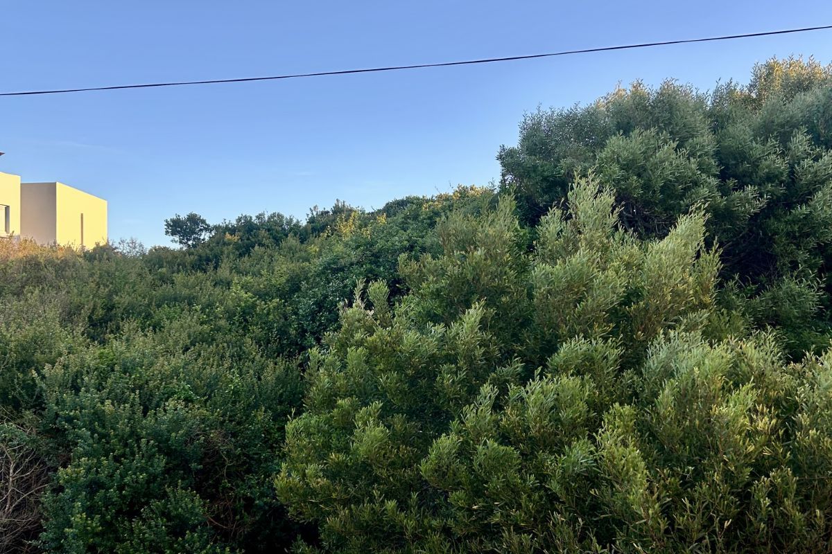 Vacant Land Residential For Sale in Paradise Beach - Photo 5