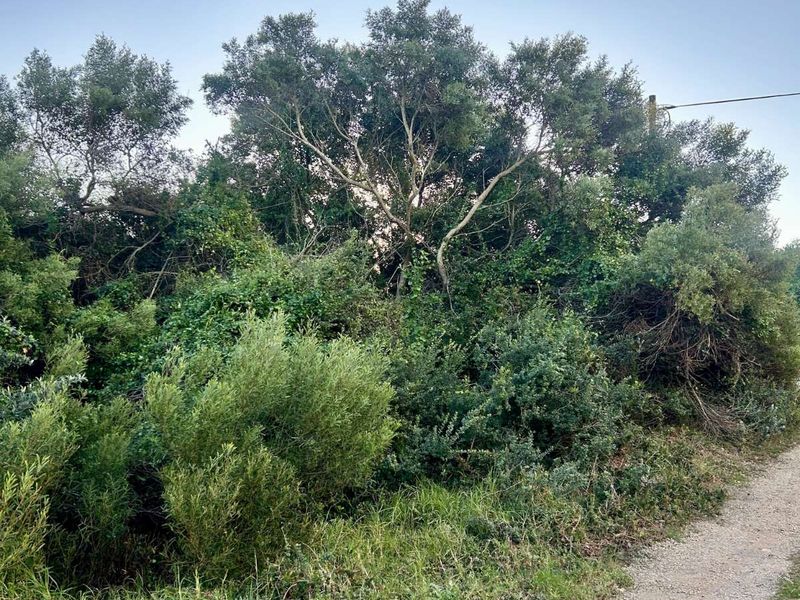 Vacant Land Residential For Sale in Paradise Beach - Photo 2