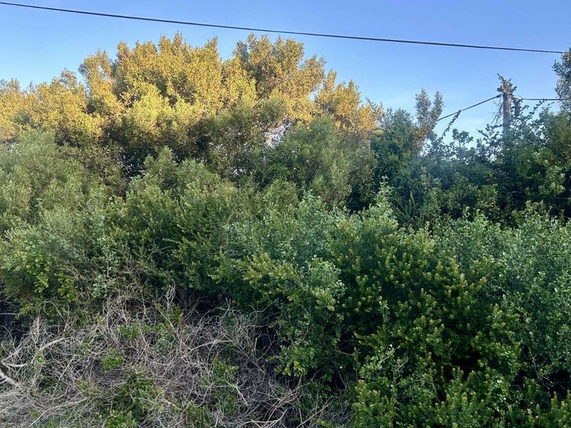 Vacant Land Residential For Sale in Paradise Beach - Photo 4