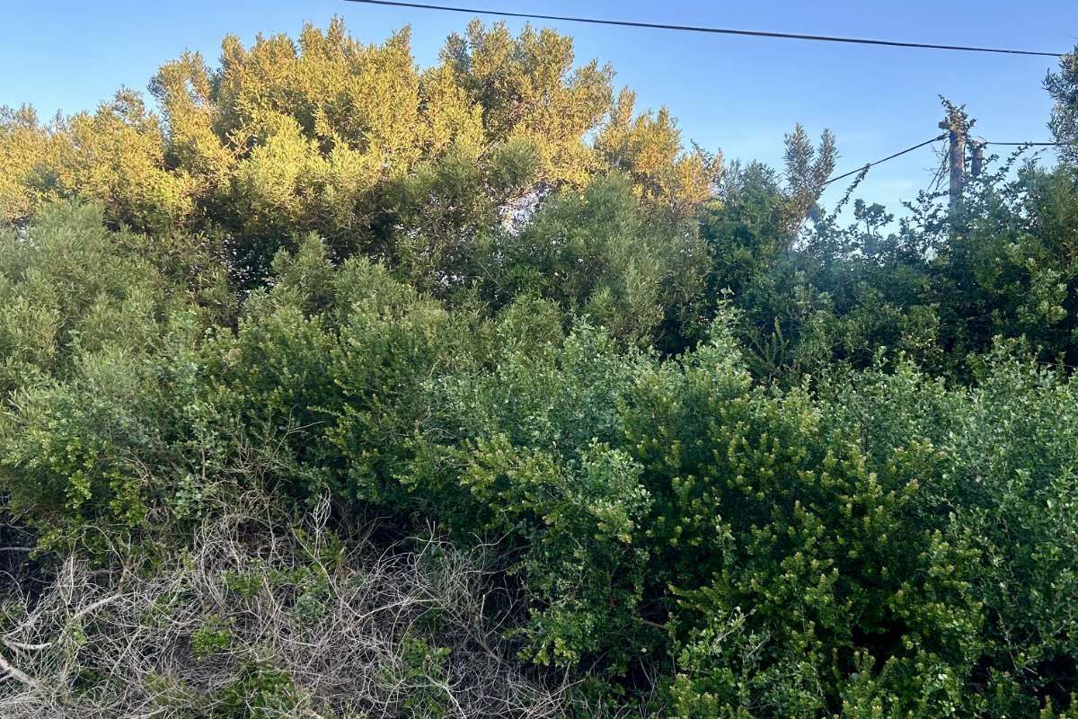 Vacant Land Residential For Sale in Paradise Beach - Photo 4