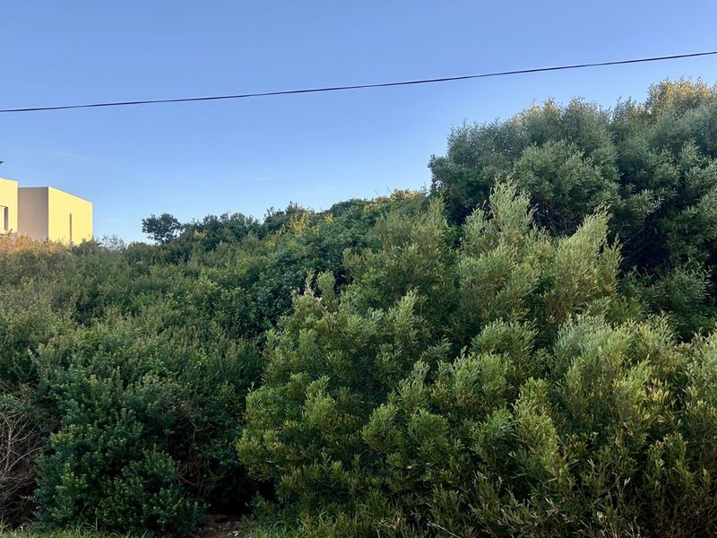 Vacant Land Residential For Sale in Paradise Beach - Photo 6