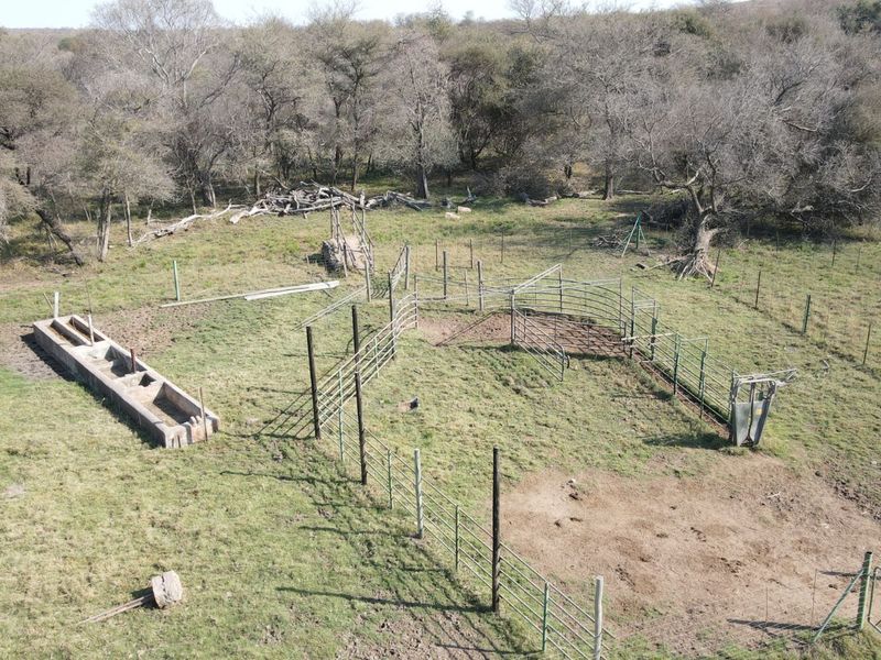 Farm For Sale in Lephalale Rural - Photo 3