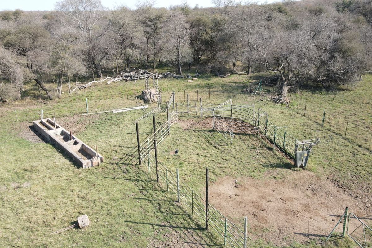 Farm For Sale in Lephalale Rural - Photo 3