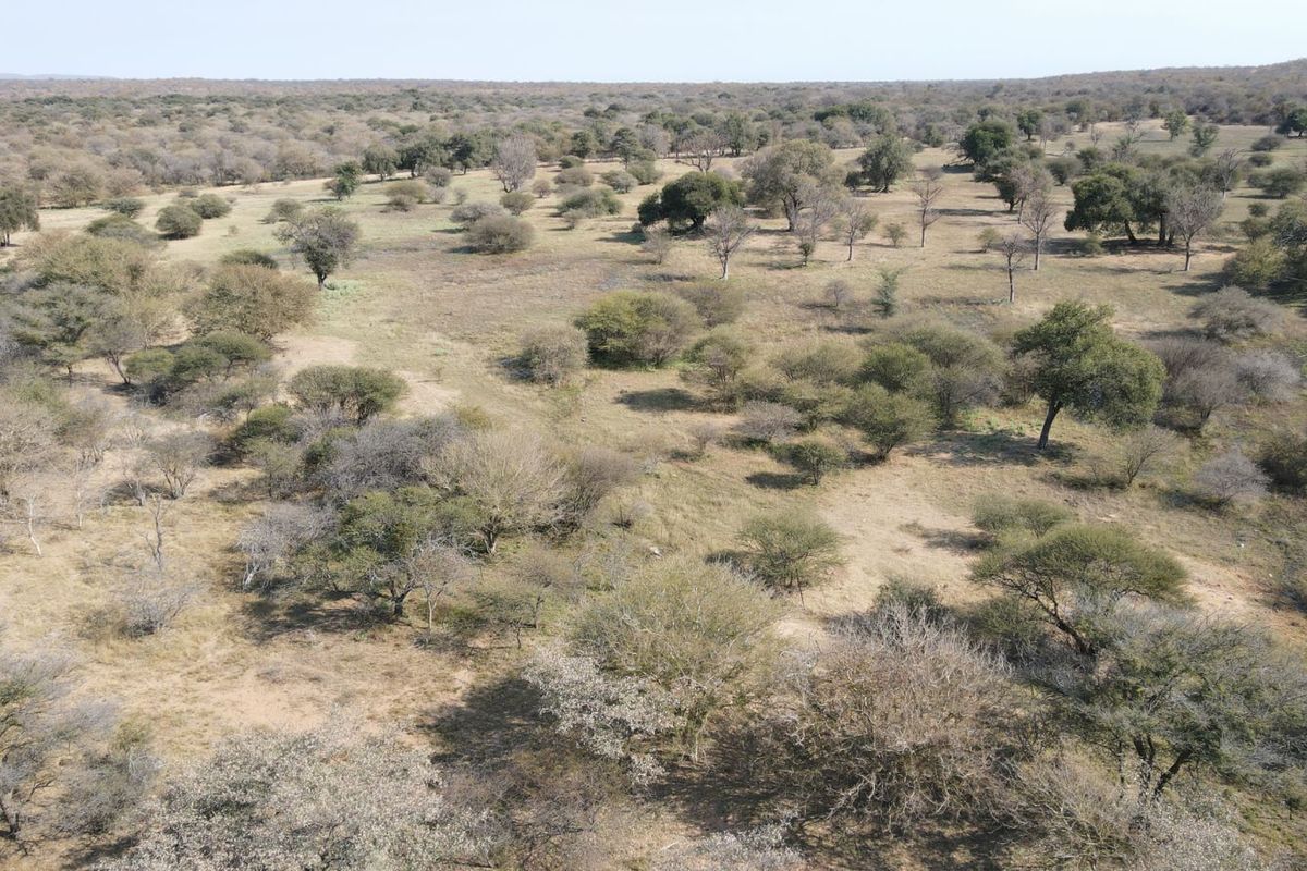 Farm For Sale in Lephalale Rural - Photo 2