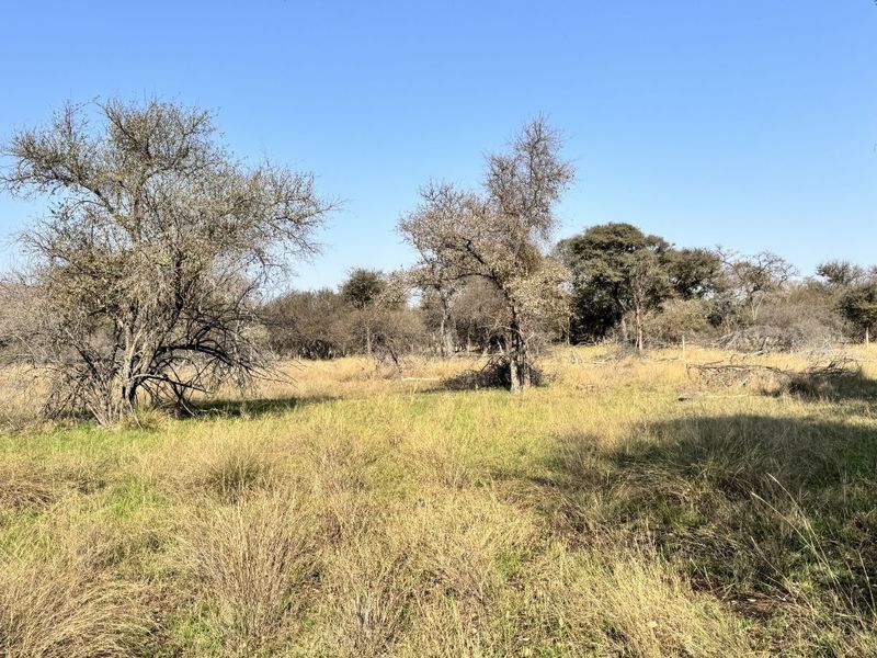 Farm For Sale in Lephalale Rural - Photo 5