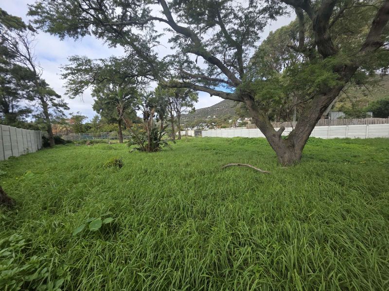 Vacant Land Residential For Sale in Sunnydale - Photo 5
