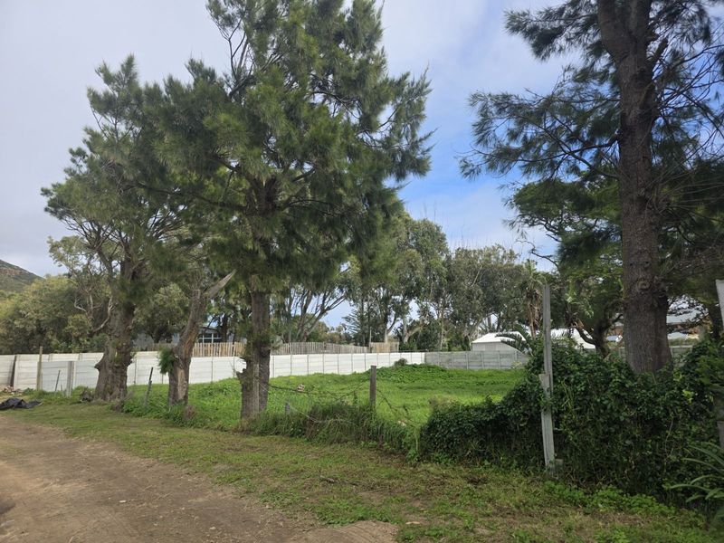 Vacant Land Residential For Sale in Sunnydale - Photo 3