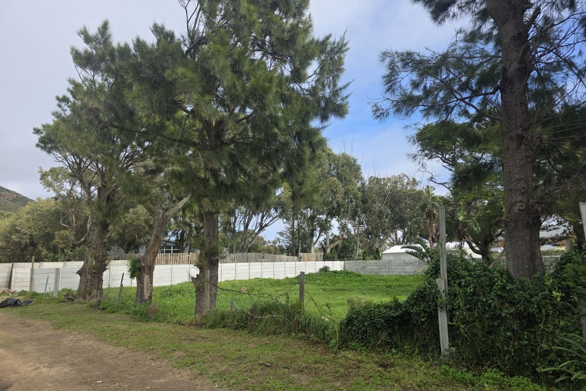 Vacant Land Residential For Sale in Sunnydale - Photo 3