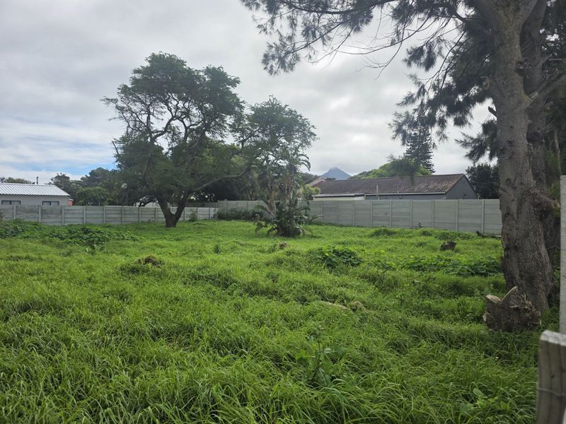 Vacant Land Residential For Sale in Sunnydale - Photo 2