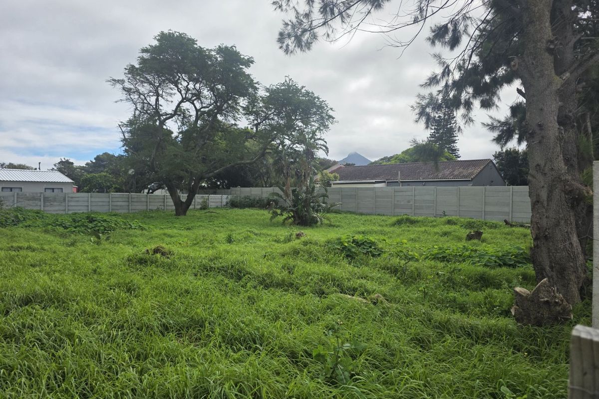Vacant Land Residential For Sale in Sunnydale - Photo 2