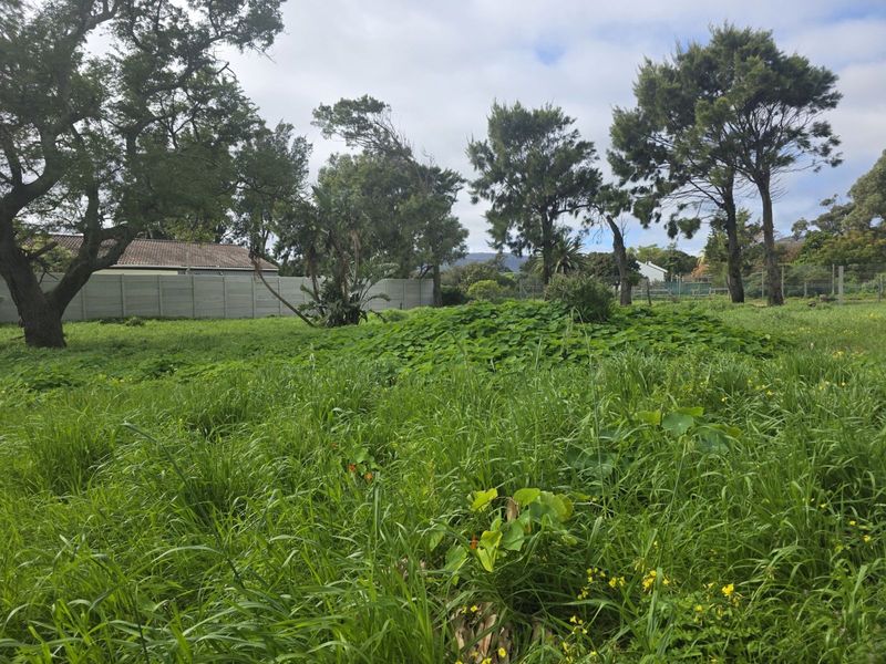Vacant Land Residential For Sale in Sunnydale - Photo 6