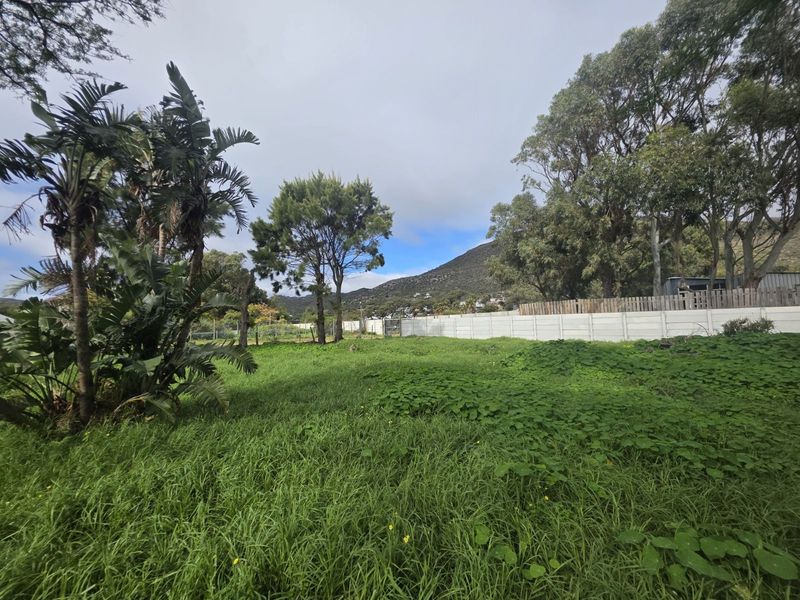 Vacant Land Residential For Sale in Sunnydale - Photo 7