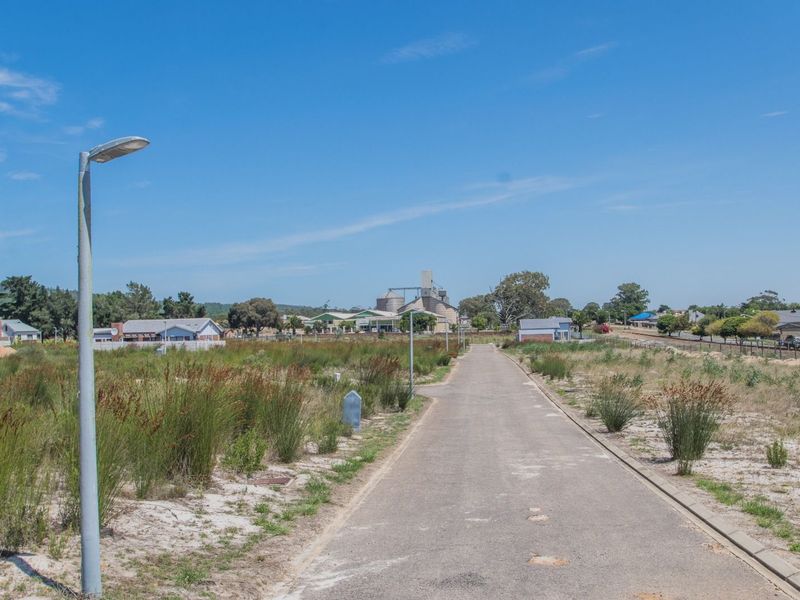 Vacant Land Residential For Sale in Albertinia Central - Photo 4