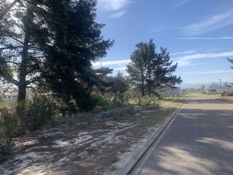 Vacant Land Residential For Sale in Albertinia Central - Photo 5