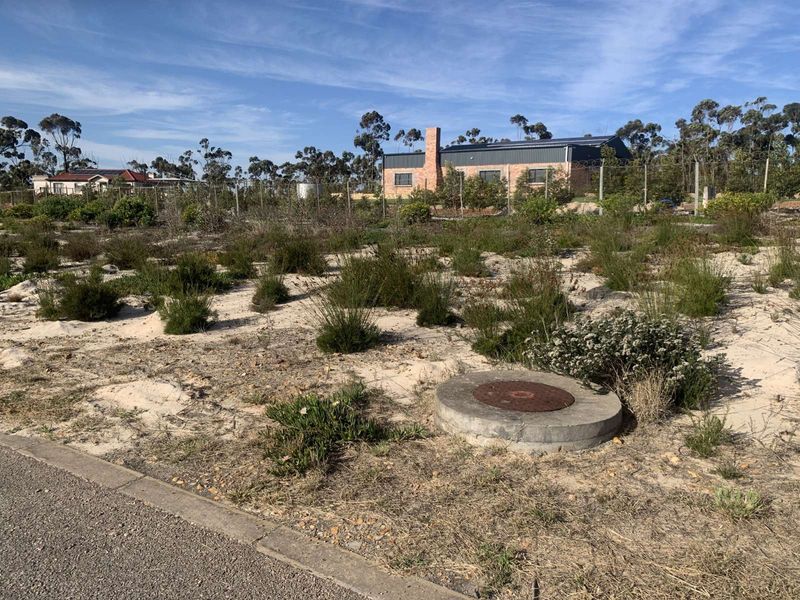 Vacant Land Residential For Sale in Albertinia Central - Photo 8