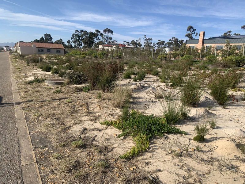 Vacant Land Residential For Sale in Albertinia Central - Photo 7