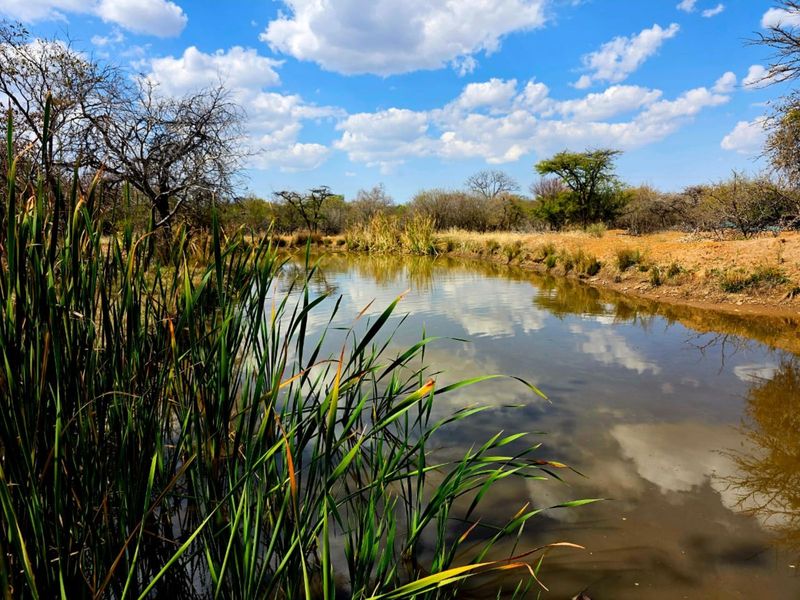 Farm For Sale in Mookgopong Rural - Photo 5